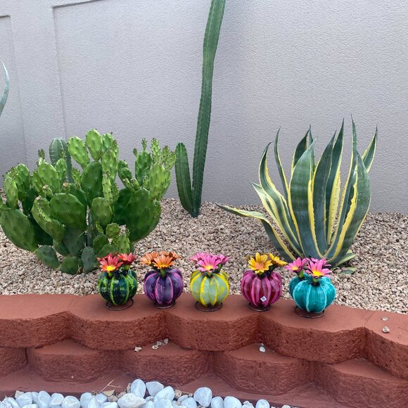 Handpainted Metal Mini Bisnaga Cactus Yard Art Garden Decor - Picture 13 of 14